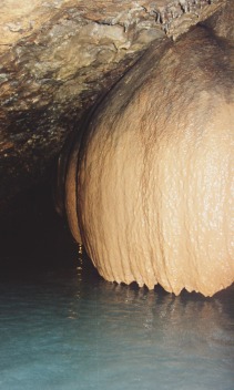stalaktit-berbentuk-payung-yang-lebarnya-setengah-meter_goa.jpg