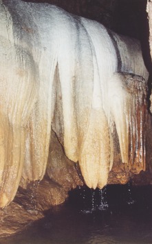stalaktit-yang-berbentuk-semacam-bekuan-es_goa-cerme.jpg